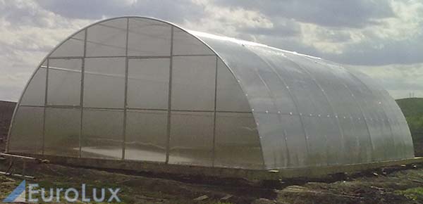 teplica6x10